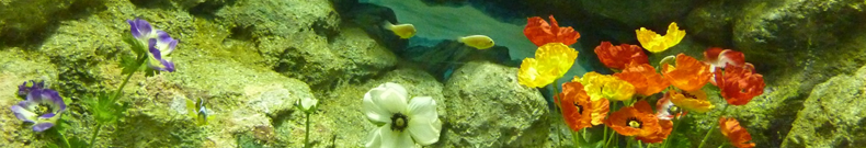 学習机、かなり気になります。