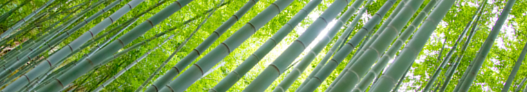 Max Mara マックスマーラ、知っておきたいコレ！！